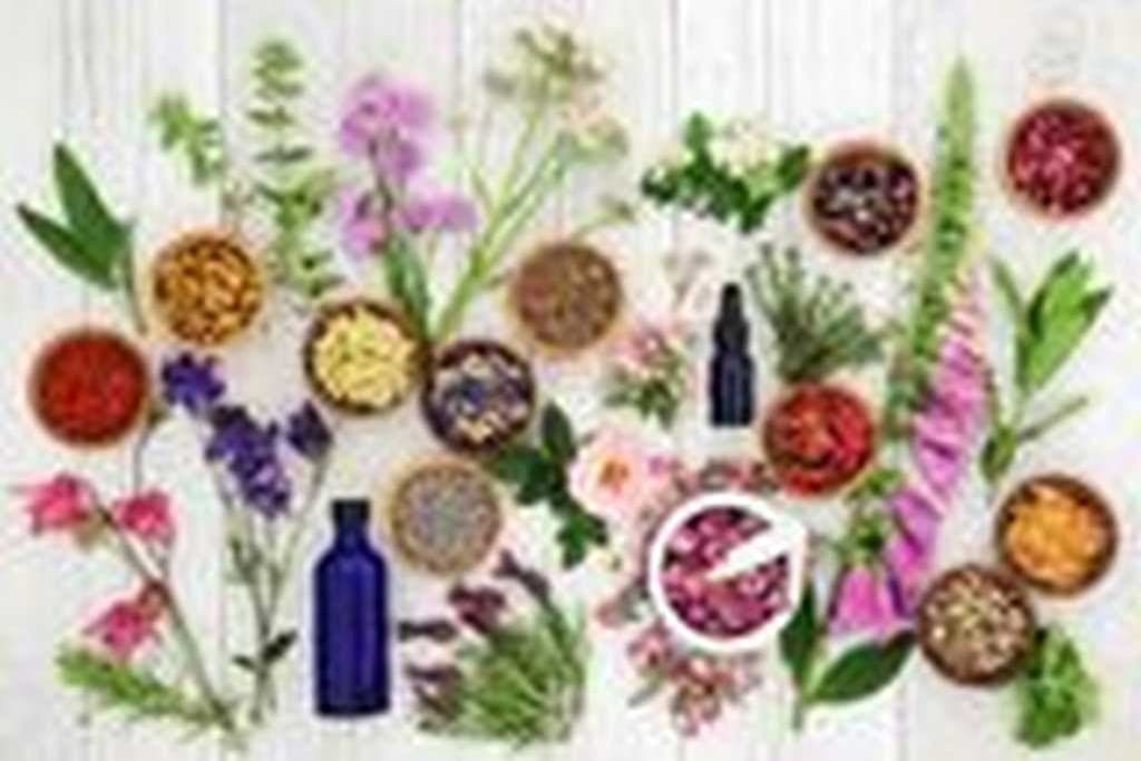 Dried herbs, flowers and tincture bottles laid out on a pale wooden surface