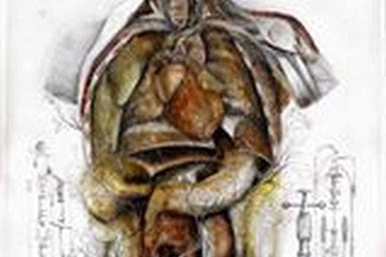 An anatomical drawing of the organs of the chest and abdomen